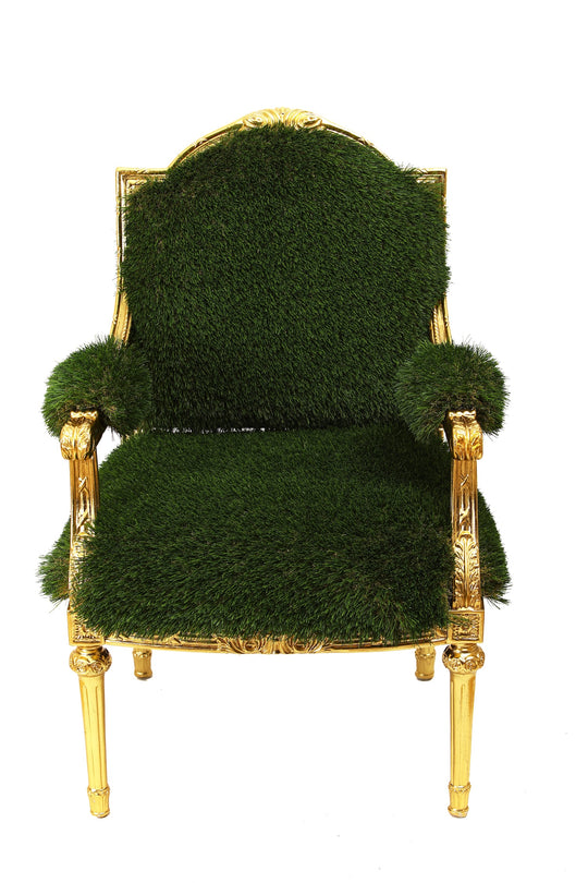 Lawn Chair