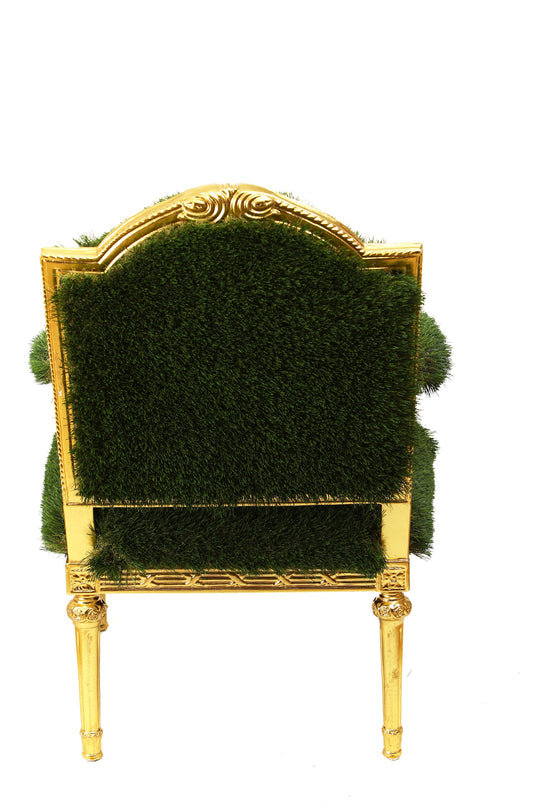 Lawn Chair