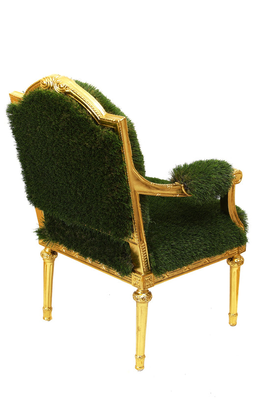 Lawn Chair