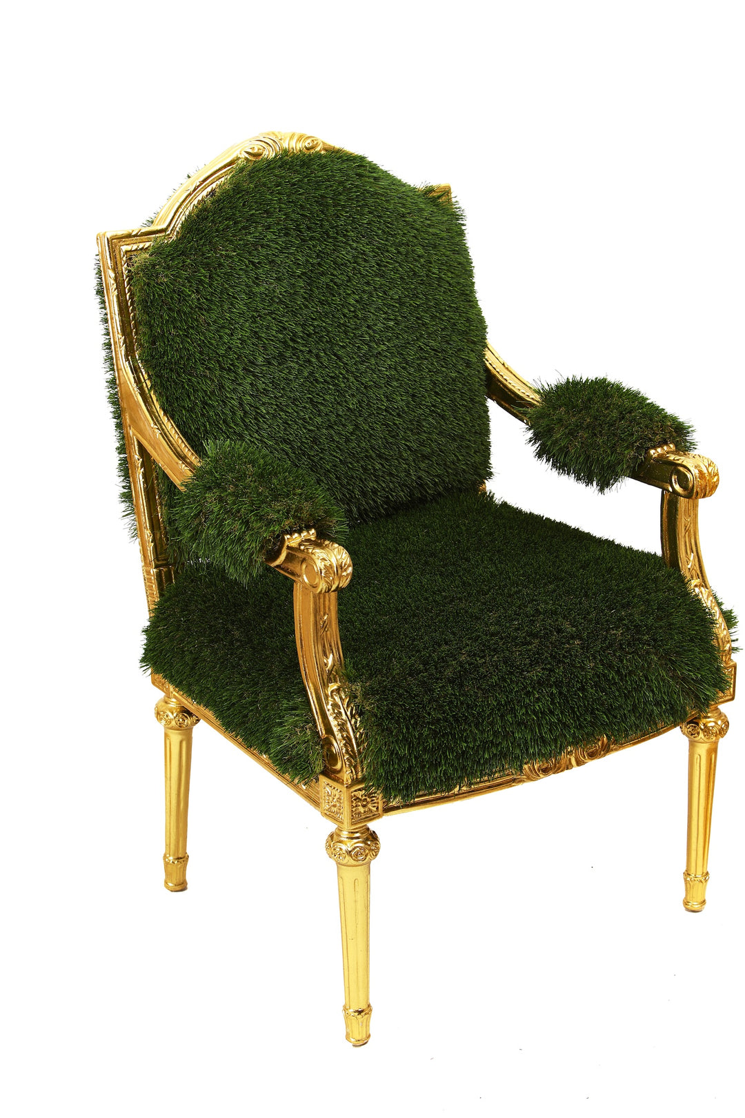 Lawn Chair